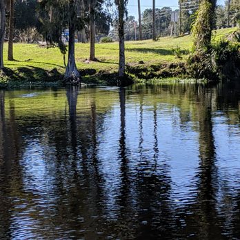 The Blue Gator - Seafood Near Me - Dunnellon, Florida