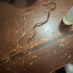 Yasmin’s Beauty Salon - Fell out same day