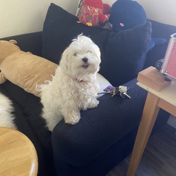 Manda Makeover - Cutie Bulu. - Makeup Artists Near Me - Concord, California