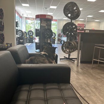 RNR Tire Express - Tires Near Me - Orange Park, Florida RNR Tire Express - Tires Near Me - Orange Park, Florida