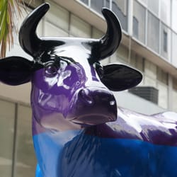 Café Providencia - Una vaca afuera del café.