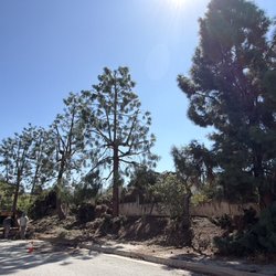 JME Tree Service