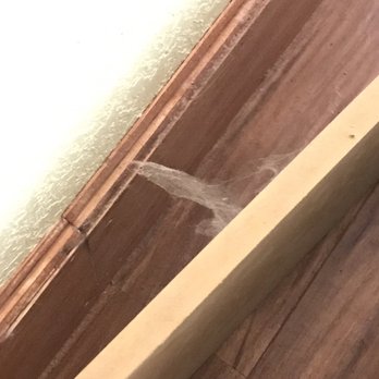 Oceanfront Lodge - Webs under bed - Hotels Near Me - Crescent City, California Oceanfront Lodge - Webs under bed - Hotels Near Me - Crescent City, California