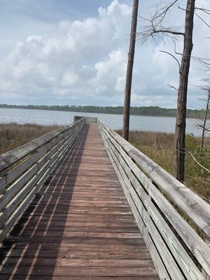 Tarkiln Bayou Preserve State Park by null