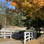 Photo of One Above Farm