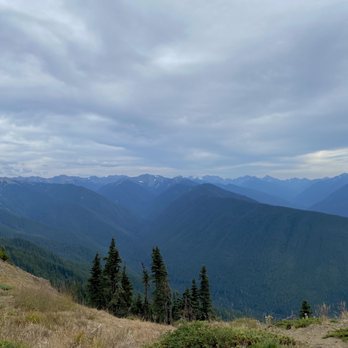 Evergreen Escapes - Hurricane Ridge - Tours Near Me - Seattle, Washington Evergreen Escapes - Hurricane Ridge - Tours Near Me - Seattle, Washington