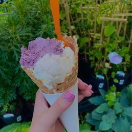 Teaberry peanut-butter swirl and blackberry iceacrem. Small I'm waffle cone Teaberry peanut-butter swirl and blackberry iceacrem. Small I'm waffle cone