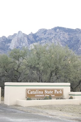 Catalina State Park by null