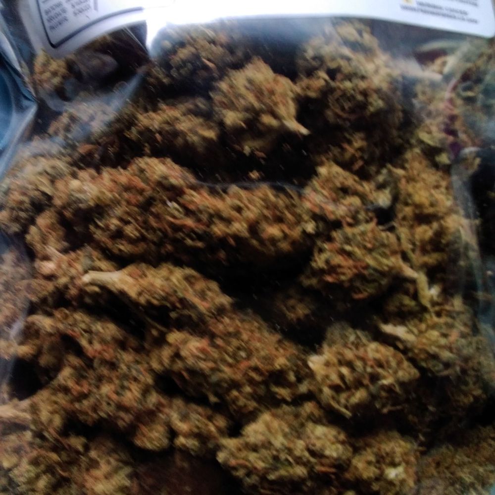 TOP 10 BEST Cbd Coffee near Encinitas, CA - Updated 2026 - Yelp