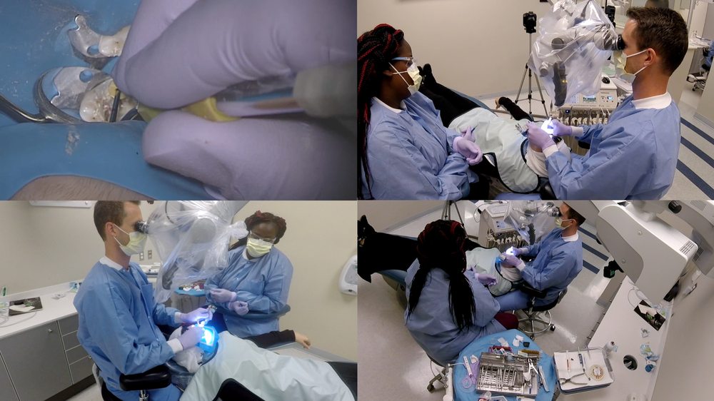 GRADUATE ENDODONTICS AT UTHSC Updated August 2024 13 Photos 875