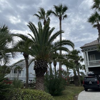 Priority Landscaping - Front driveway - Landscaping Near Me - Charleston, South Carolina Priority Landscaping - Front driveway - Landscaping Near Me - Charleston, South Carolina