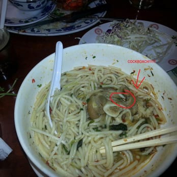 Com Tam Thanh - Cockroach found in spicy beef noodle on 09/25/12. The female owner replied "Why did you tell me this?" after customer complained - Vietnamese Near Me - San Jose, California Com Tam Thanh - Cockroach found in spicy beef noodle on 09/25/12. The female owner replied "Why did you tell me this?" after customer complained - Vietnamese Near Me - San Jose, California