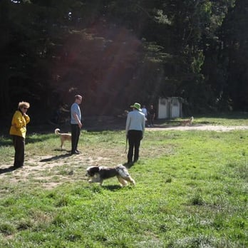 Upper Douglass Dog Park - Dog Parks Near Me - San Francisco, California Upper Douglass Dog Park - Dog Parks Near Me - San Francisco, California
