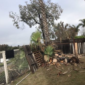 J Rojas Tree Services - Tree Services Near Me