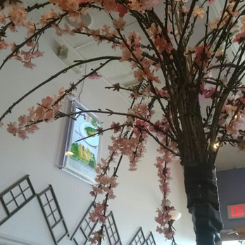 Noodles Plus - It's always spring here. - Taiwanese Near Me - Edison, New Jersey