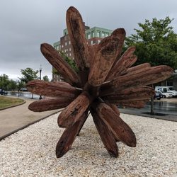 Seaflower - Seaflower, New Bedford