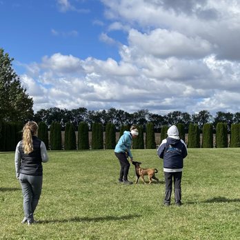 Kriegerhund K9 - Group training - Pet Training Near Me Kriegerhund K9 - Group training - Pet Training Near Me