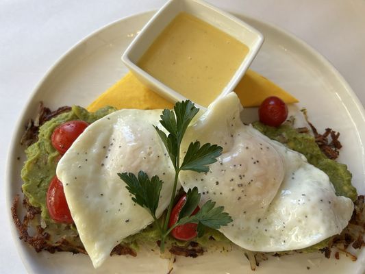 The Lemon Tree by null