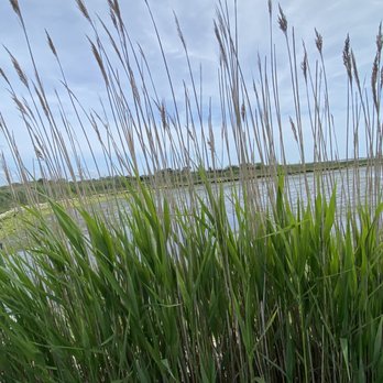 Marine Nature Study Area - Parks Near Me - Oceanside, New York