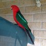 Photo of Back To Nature Wildlife Shelter
