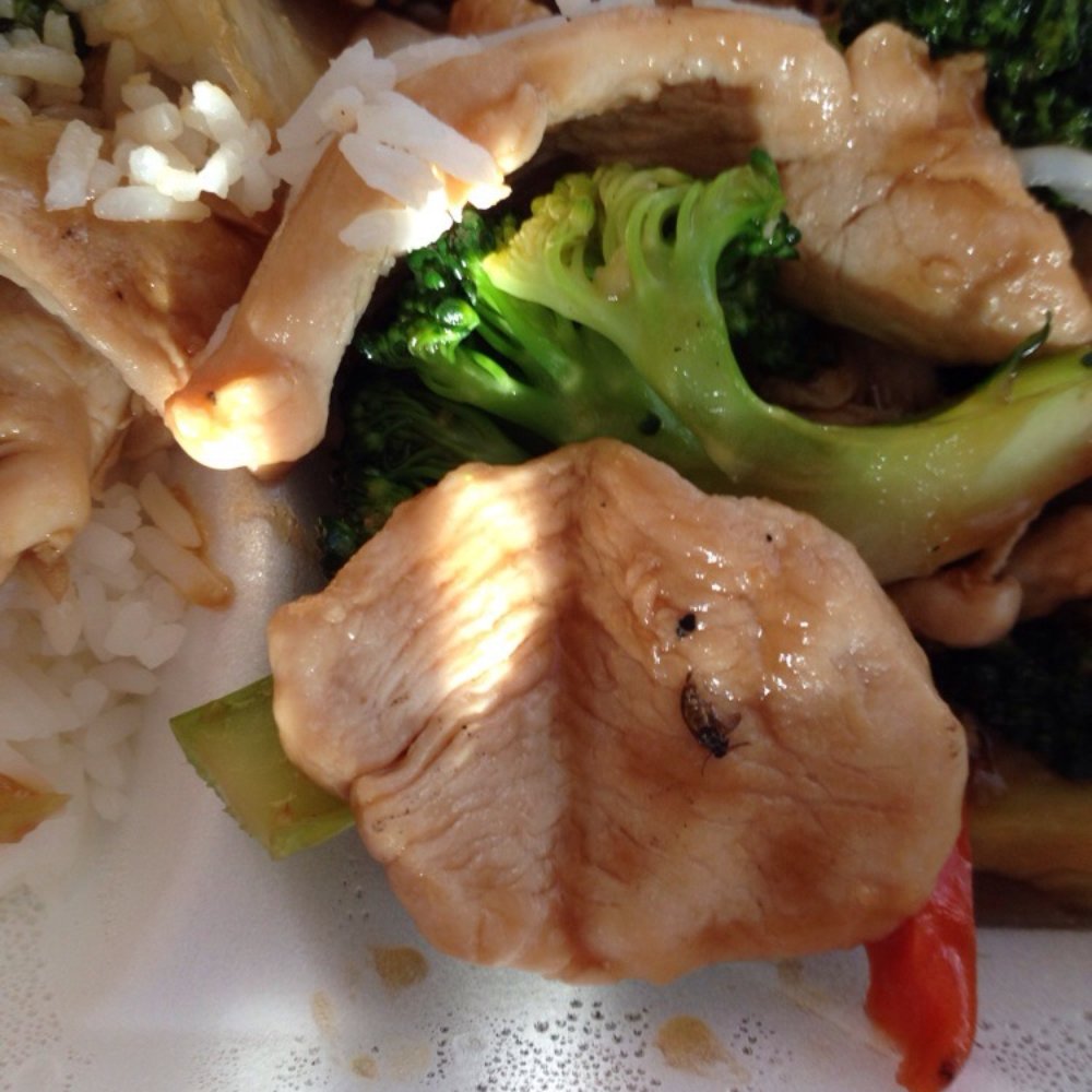 China Chef - Szechuan Near Me - Grosse Pointe, Michigan China Chef - Szechuan Near Me - Grosse Pointe, Michigan