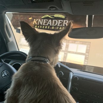 Kneaders Bakery & Cafe - Bakeries Near Me - Draper, Utah