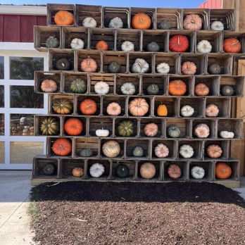Go Ro Farm Market - Fruits & Veggies Near Me - Union, Illinois