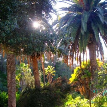 Presidio Park - Parks Near Me - San Diego, California