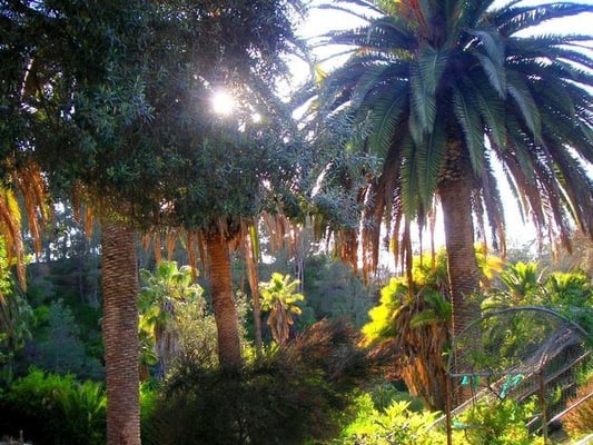 Presidio Park by null