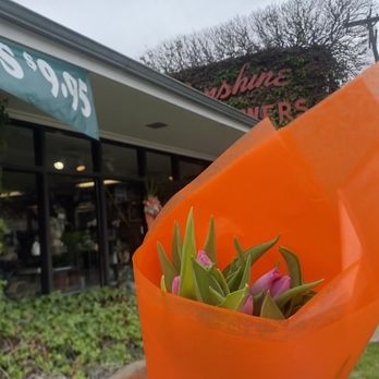 Sunshine Flowers & Greenhouse - Tulips for 9.95 - Florists Near Me - Dallas, Texas