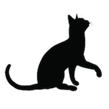 Little Cat Catering - Caterers Near Me Little Cat Catering - Caterers Near Me