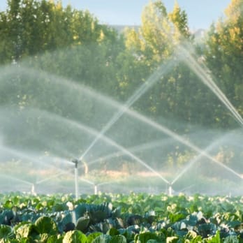 East Coast Irrigation - Irrigation, Installation, Sprinkler Systems, Service Process - Irrigation Near Me - Norwalk, Connecticut East Coast Irrigation - Irrigation, Installation, Sprinkler Systems, Service Process - Irrigation Near Me - Norwalk, Connecticut