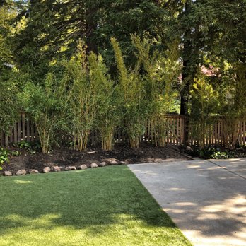Jungle Bamboo & Palm Nursery - Nurseries & Gardening Near Me - Cotati, California Jungle Bamboo & Palm Nursery - Nurseries & Gardening Near Me - Cotati, California