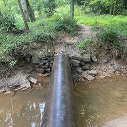 Hahn Woods - Creative trail walking