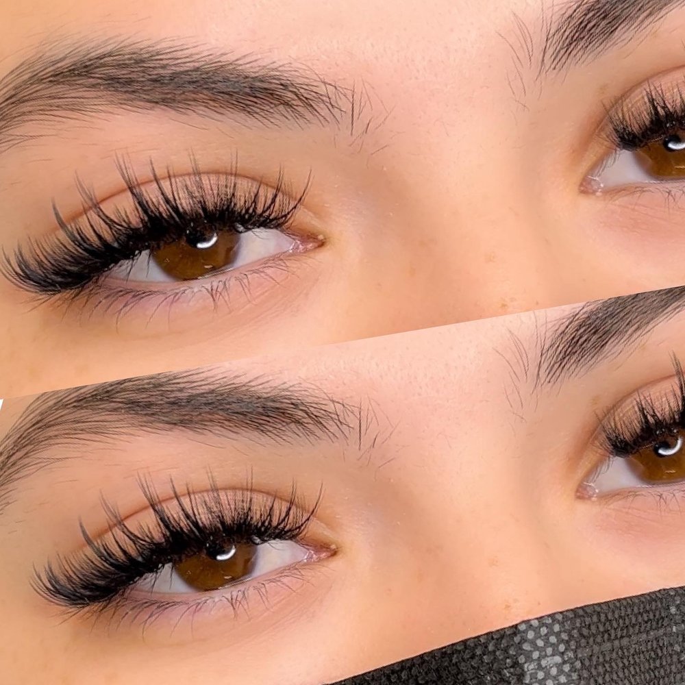 Pretty Lash by Ness Logo
