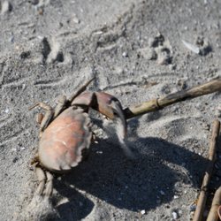 Sundial Nature Tours
