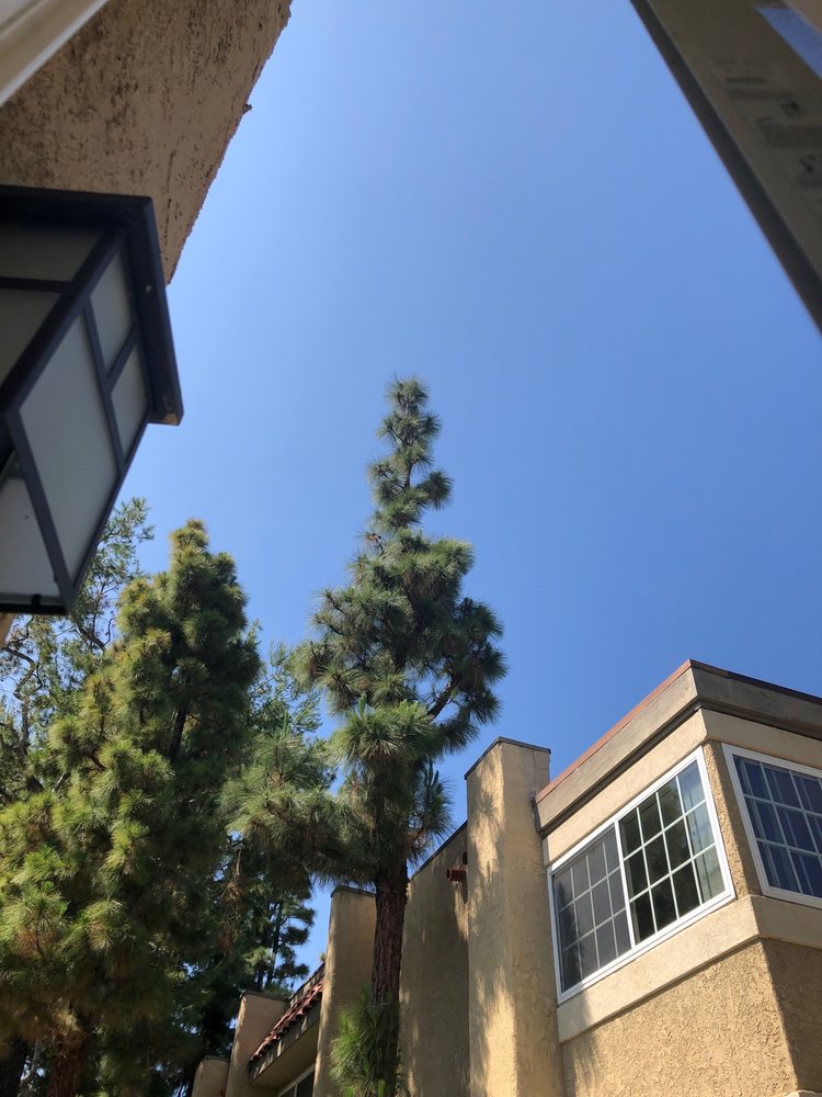 LA HABRA WOODS APARTMENTS 701 W Imperial Hwy, La Habra, CA Yelp