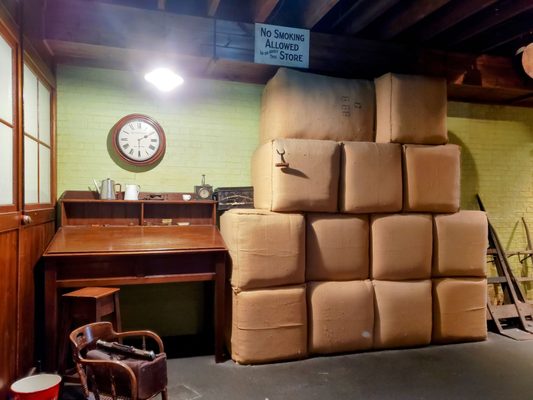 Wellington Museum by null