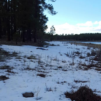 Kaibab Lake Campground - Someone making a snow angel - Campgrounds Near Me - Williams, Arizona