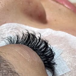 Sassy Shears - Lashes by Chloe