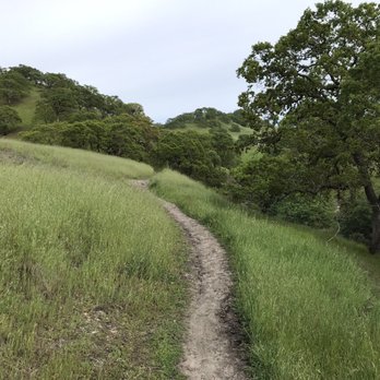Shell Ridge Open Space - Hiking Near Me - Walnut Creek, California
