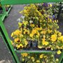 Photo of R & R Produce'n Garden Center