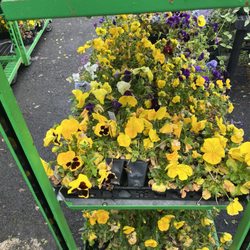R & R Produce'n Garden Center