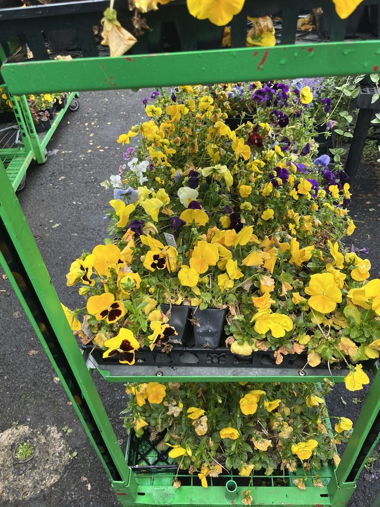 R & R PRODUCE’N GARDEN CENTER Updated October 2024 12 Photos 6950