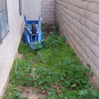 Earth-Tones Landscaping - Old Side Yard.. Yuck - Landscaping Near Me Earth-Tones Landscaping - Old Side Yard.. Yuck - Landscaping Near Me