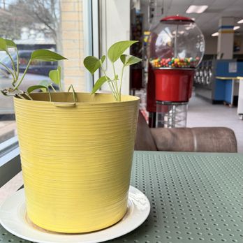 BRB Coffee - Coffee & Tea Near Me - Austin, Texas