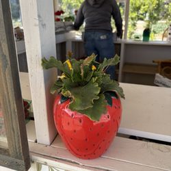 Strawberry vase