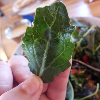 Veggie Grill by Next Level - Perhaps baby kale? - Vegan Near Me - Burbank, California