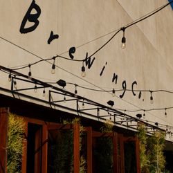 Bonaventure Brewing Company