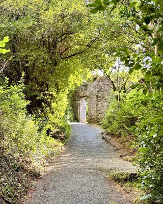 Vagabond Tours of Ireland by null